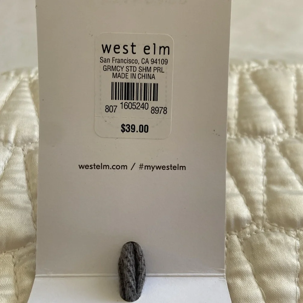 (1) West Elm pillow sham